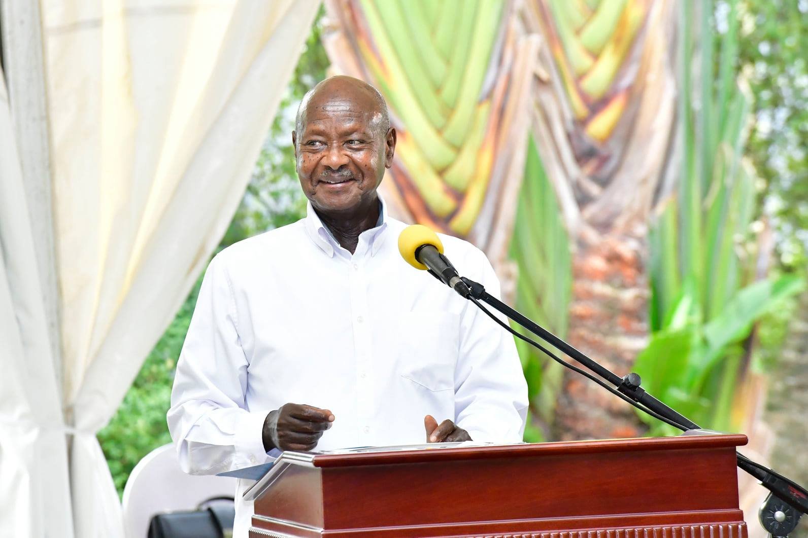 Every Family Will Get Radio To Enable Children Study — Museveni