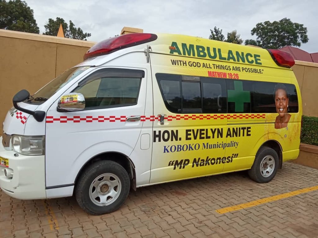 ‘Taiwanese’ Anite Withdraws Ambulance She Gave Electorate