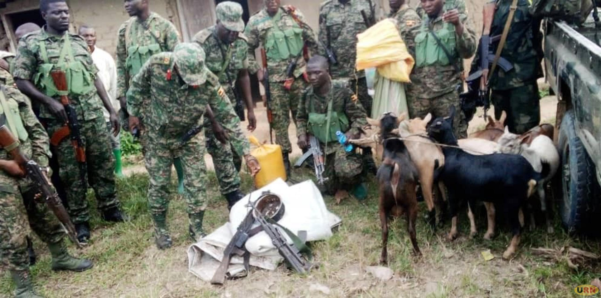 UPDF, FARDC Kill Four ADF Rebels in Night Raid