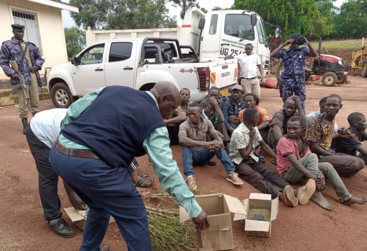 Security Arrest 16 Suspected Marijuana Plugs & Smokers