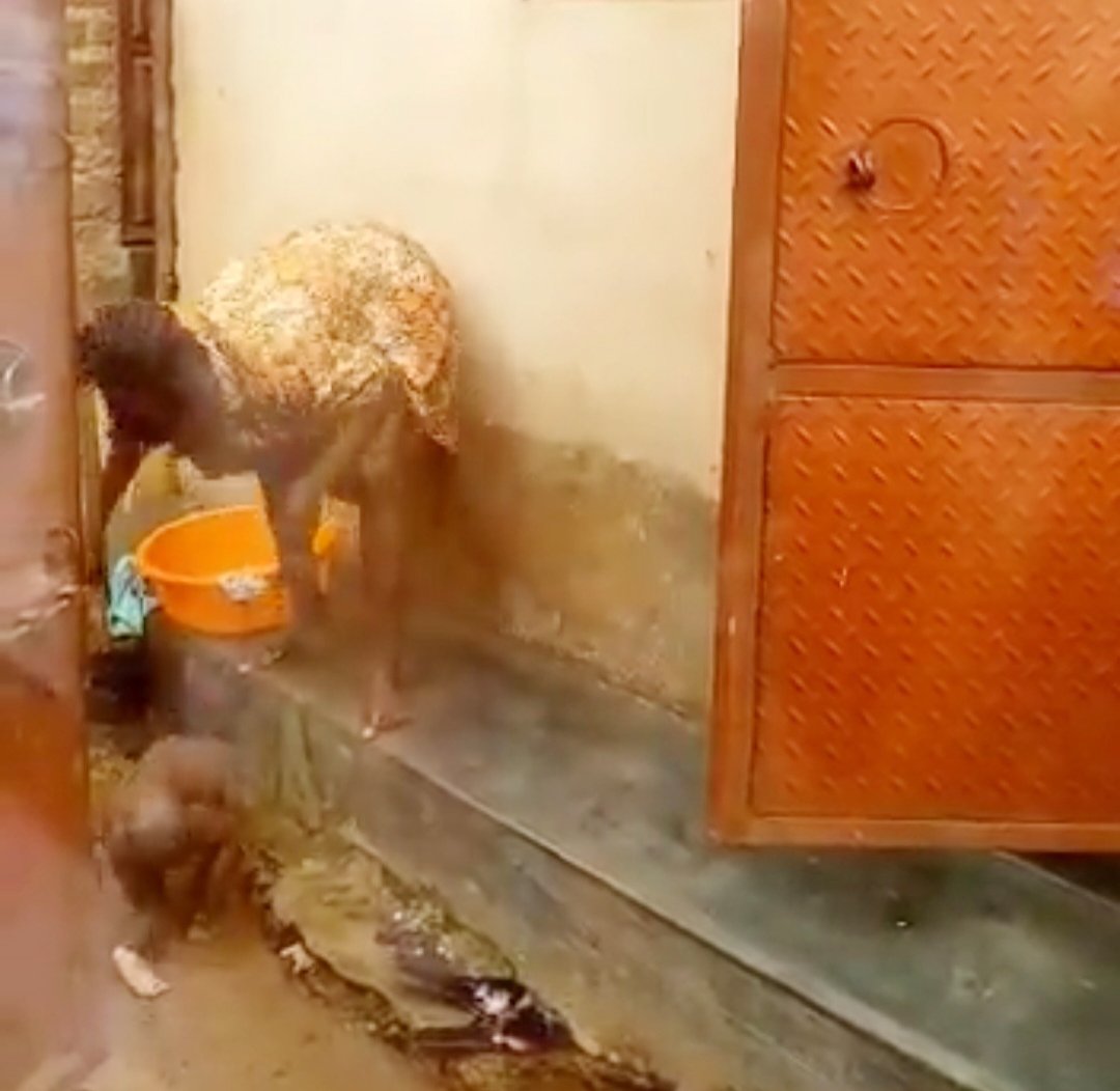 Monster Mother Remanded For Thumping Her two-year-old Daughter