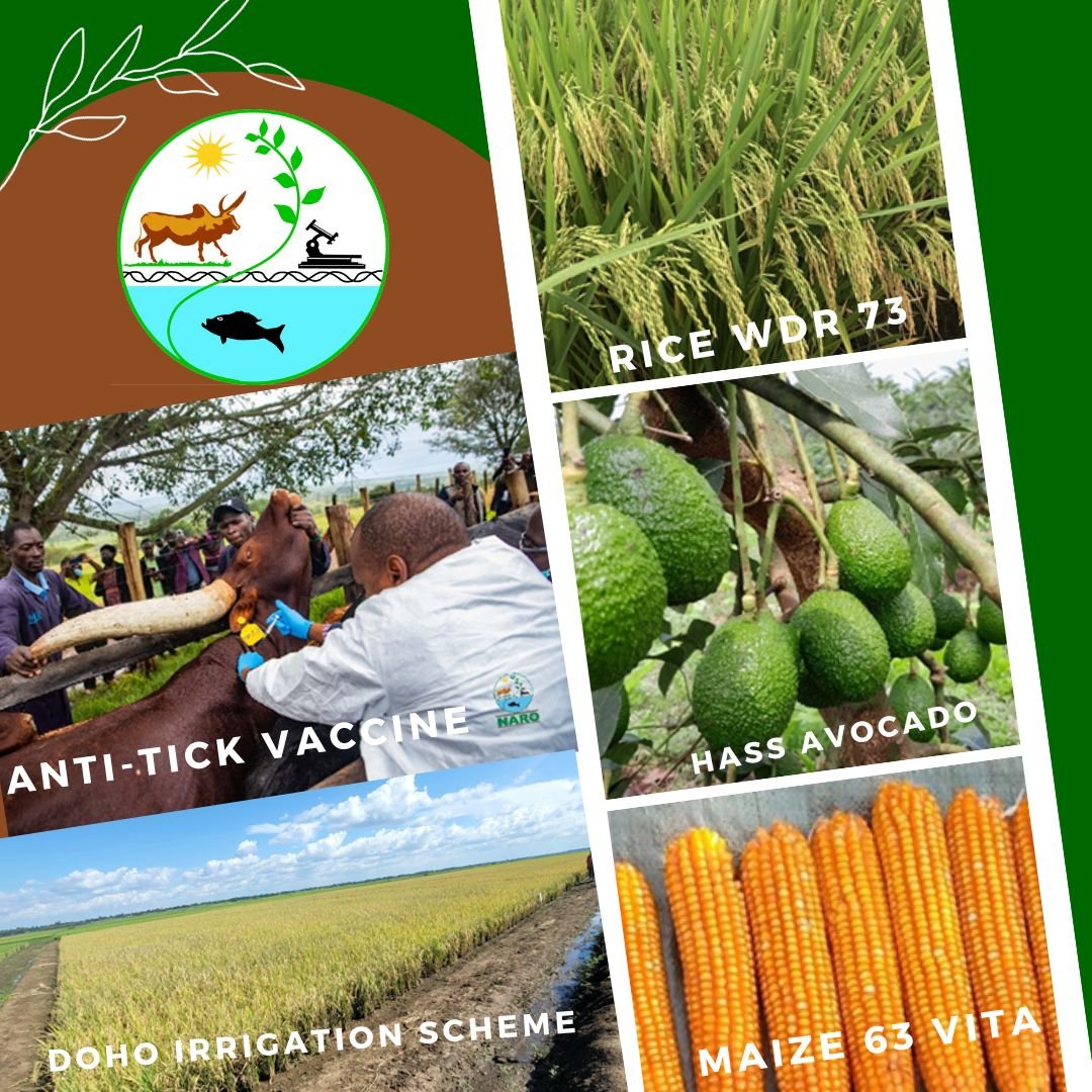 NARO Gears Up For Stronger Agricultural Initiatives In New Financial Year