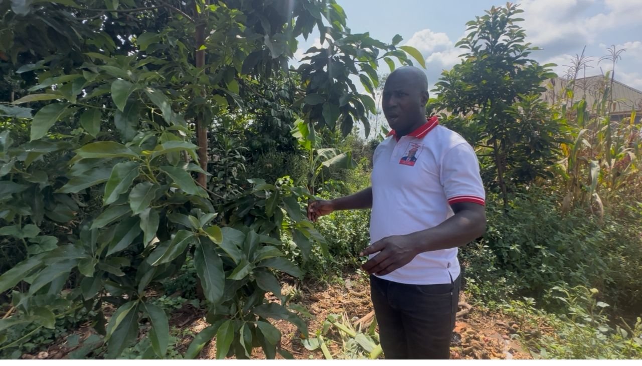 Luwero Residents Raise Alarm Over Victoria Factory Pollution, NEMA Pledges Inspection