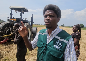 NARO Moves to Revive Teso’s Cattle Industry with Major Livestock Restocking Drive