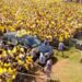 Museveni Urges Mukono Youth to Demand Results-Oriented Leadership
