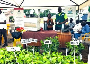 NARO Calls on Northern Farmers to Adopt Innovation to Boost Productivity and Incomes