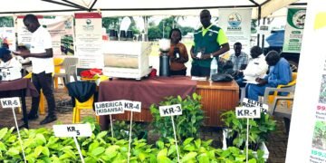 NARO Calls on Northern Farmers to Adopt Innovation to Boost Productivity and Incomes