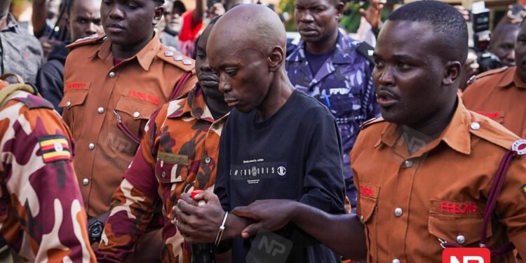 Blood For Riches: Inside The Ggaba Child Killings Driven By Ritual Wealth Beliefs