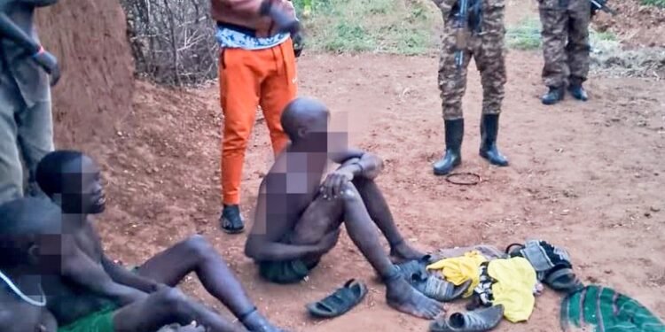 Security Forces Arrest Suspected Armed Raider In Kaabong Operation