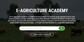 E-Agriculture Academy: Putting Knowledge, Skills, And Services in The Hands of Uganda’s Farmers