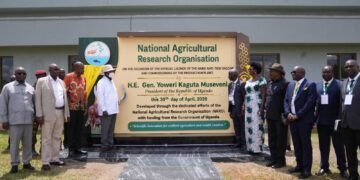 A TURN OF THE TIDE: Uganda Unveils Homegrown Anti-Tick Vaccine In Major Leap For Africa’s Livestock Sector