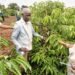 Uganda Eyes New Coffee Frontier As NARO Advances Research On Climate-Resilient Excelsa Variety