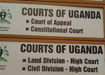 High Court to Hear Habeas Corpus Case As Citizens Petition Museveni Over Sanyu Edisah’s Alleged Detention