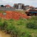 NEMA Resumes Forceful Restoration Of Kalidubbi Wetland, Encroachers Face Enforcement Action