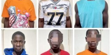 Six Arrested Over Fake Museveni, Natasha Karugire Accounts Used To Scam Ugandans