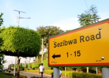 General Muhoozi Kainerugaba Orders Nationwide Naming of Streets And Roads By August 30
