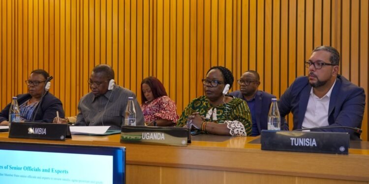 Uganda Pushes For Stronger Follow-Up On Development Financing, Debt Reforms At UN Economic Commission For Africa