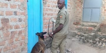 Two Arrested Over Mbarara Murder After sniffer Dog Tracks Suspects