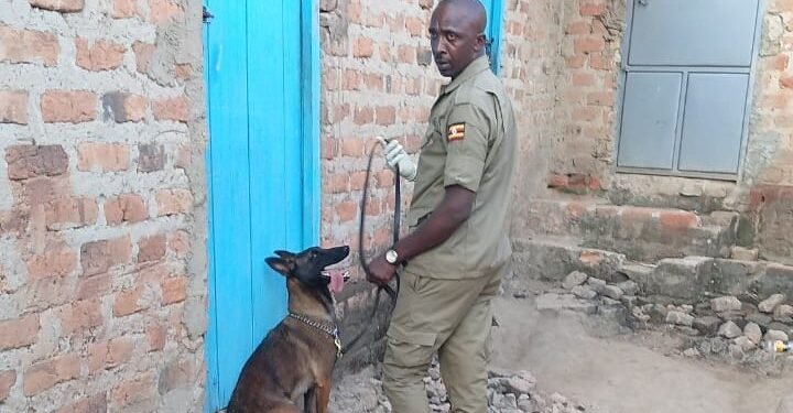 Two Arrested Over Mbarara Murder After sniffer Dog Tracks Suspects