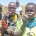 Drought-hit Karamoja finds hope In NARO Sorghum