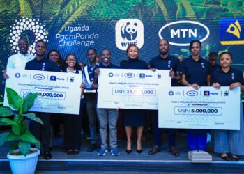 MTN, WWF Name Winners of 2026 PachiPanda Innovation Challenge