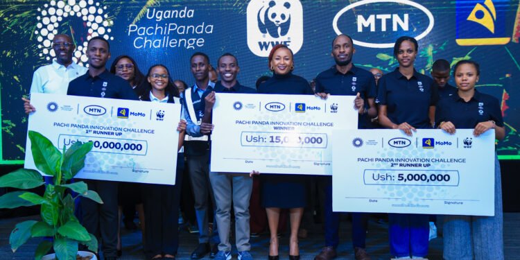 MTN, WWF Name Winners of 2026 PachiPanda Innovation Challenge